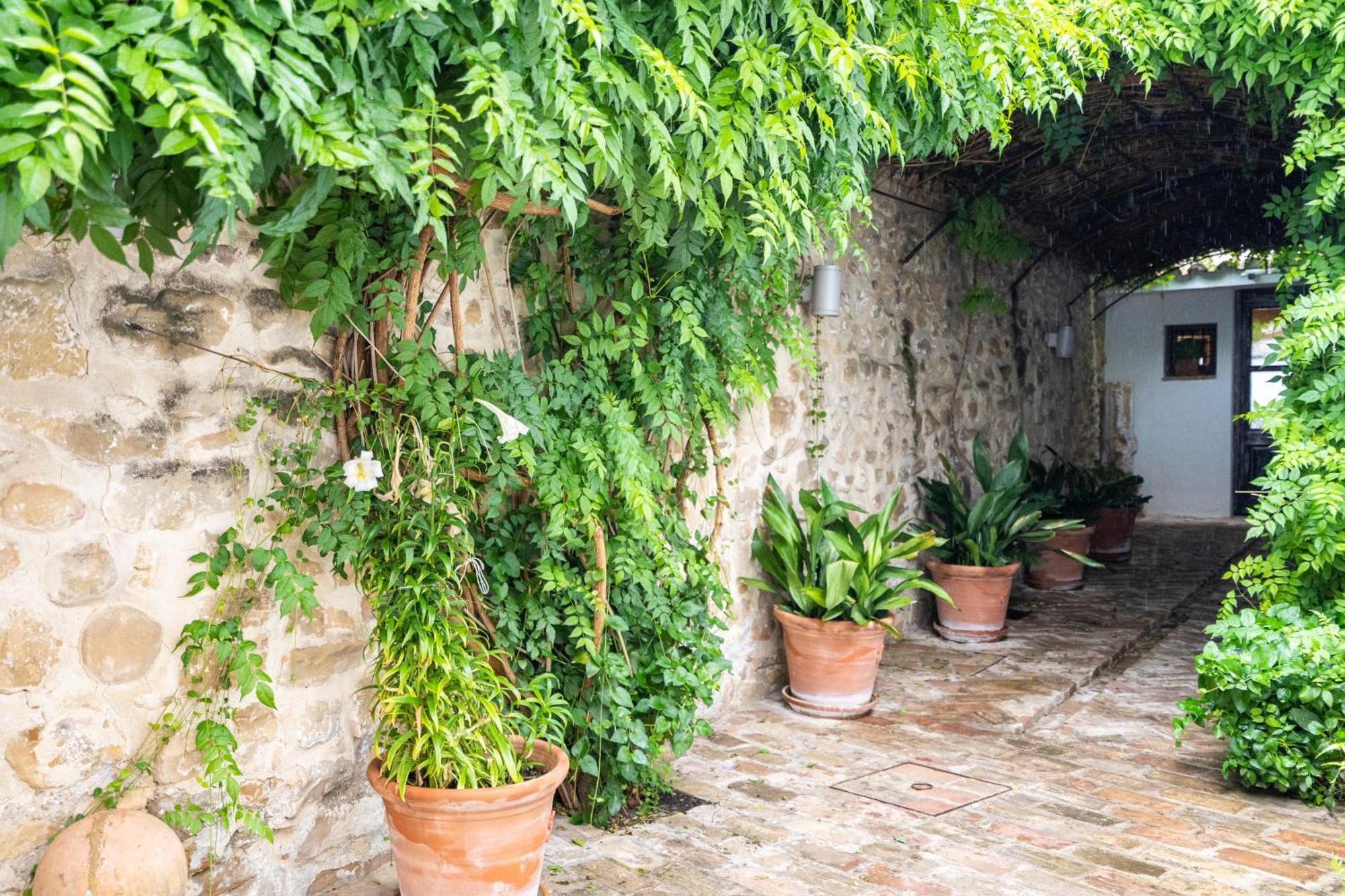Hotel YIT La Casona del Arco Baeza Esterno foto